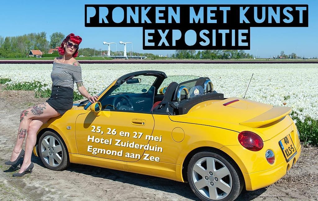Pronken met Kunst - Egmond aan zee